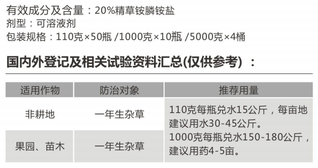 阿凡达·焱